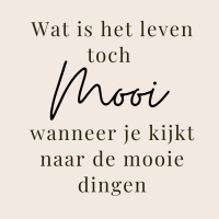 Tekst magneetjes